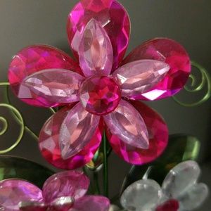 Meet your Posher, Bobbie